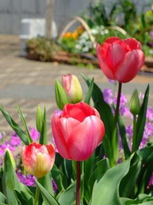 荏田近隣センター
