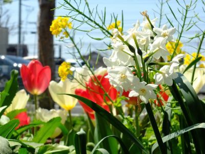 荏田近隣センター
