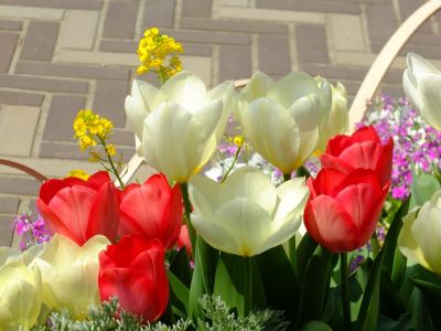 荏田近隣センター
