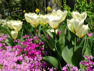 荏田近隣センター
