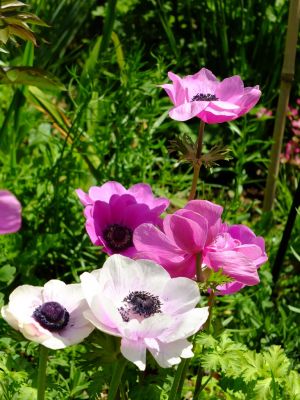 荏田近隣センター
