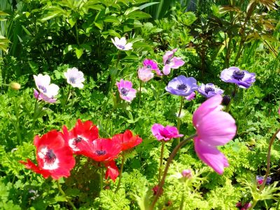 荏田近隣センター
