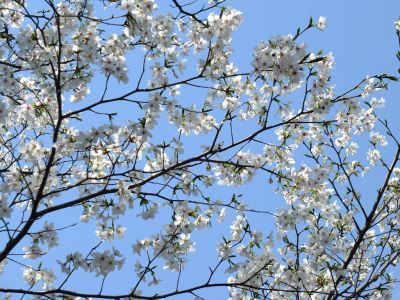 ささぶねのみち
