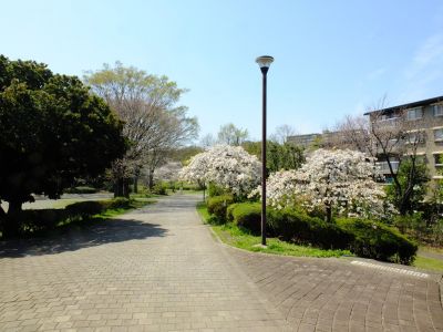 鴨池公園
