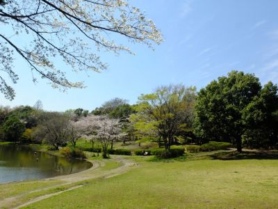 鴨池公園
