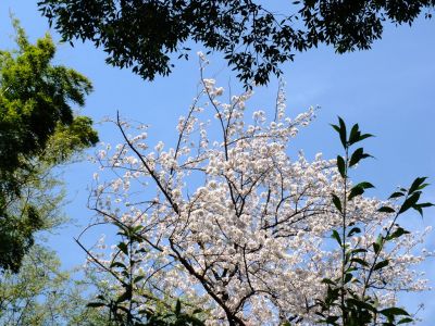 ゆうばえのみち
