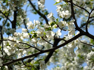 ゆうばえのみち
