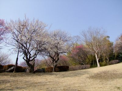 折田不動公園
