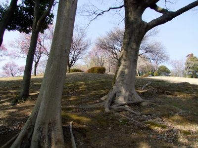 折田不動公園
