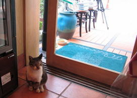 ���b�R�ʐ^