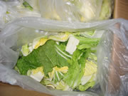 ���Ђ��͂�����