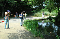 �e�q�K���̗l�q