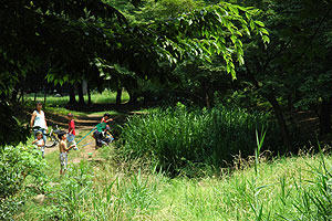 �q���������U���K�j�ނ���y����