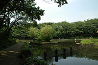 �e�q�K���̗l�q