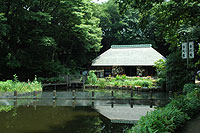 �e�q�K���̗l�q