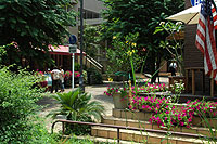 �e�q�K���̗l�q