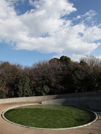 冬の日差し (せきれいの道：仲町台付近)