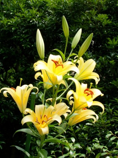 ファイル 1-4.jpg