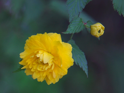 ファイル 3-1.jpg