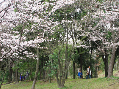 ファイル 4-1.jpg