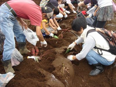 ファイル 5-6.jpg