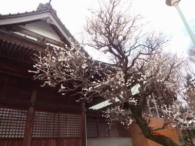 ファイル 6-2.jpg