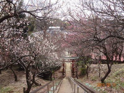 ファイル 6-5.jpg