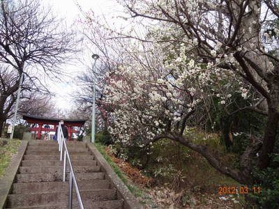 ファイル 6-7.jpg