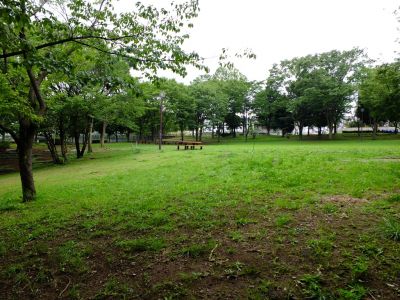 荏田猿田公園（長者原遺跡（都筑郡衙））
