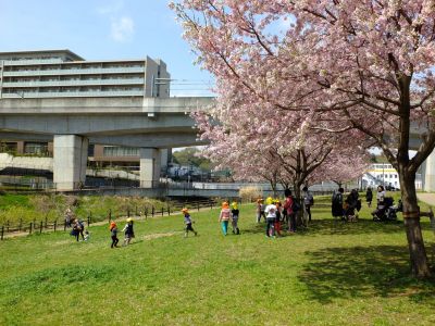 早渕川親水広場の神代曙
