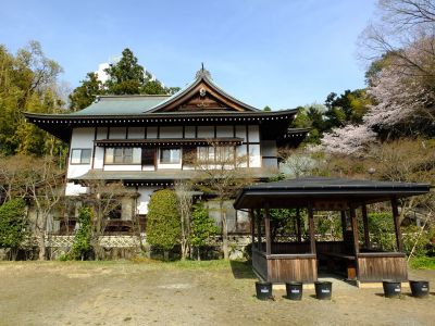 心行寺のさくら
