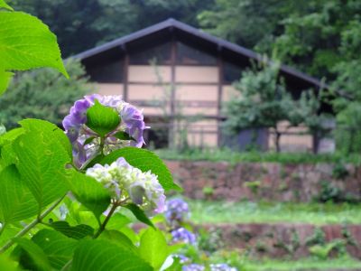 都筑中央公園ばじょじ谷戸
