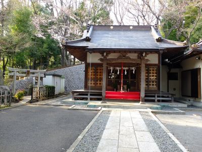 杉山神社（染井吉野）
