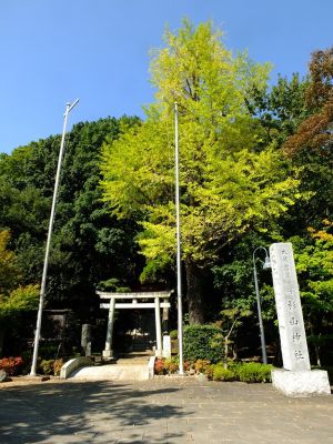 杉山神社
