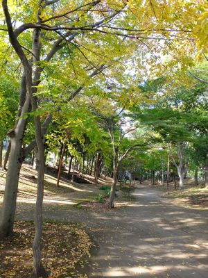 ささぶねの道 御影橋
