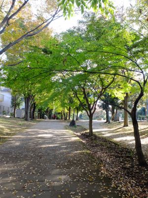 ささぶねの道 御影橋
