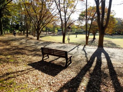 鴨池公園まんまる広場
