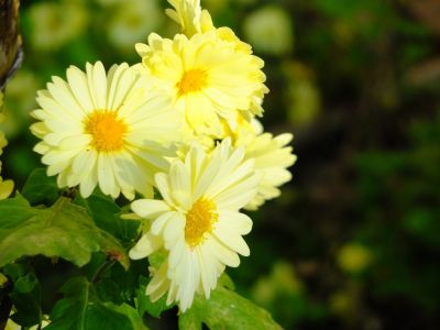 荏田近隣センター
