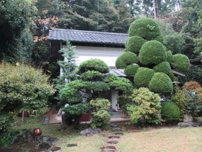 「日吉の森庭園美術館」
