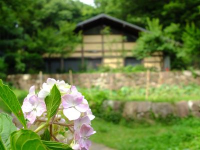 都筑中央公園のばじょうじ谷戸
