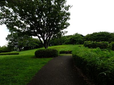 月出松公園

