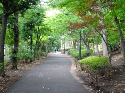 月出松公園
