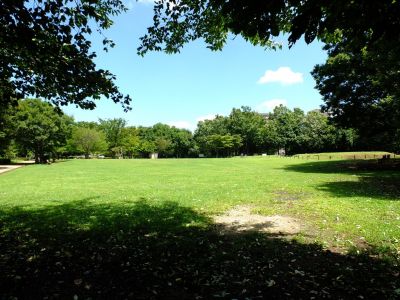 大塚・歳勝土遺跡公園
