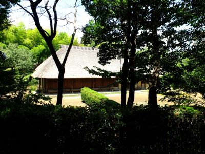 大塚・歳勝土遺跡公園
