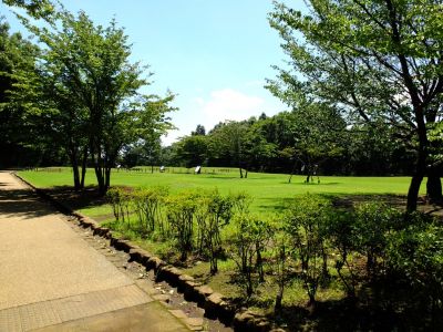 大塚・歳勝土遺跡公園
