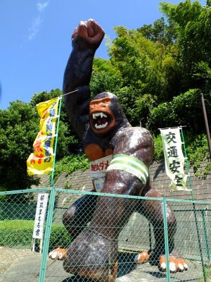 歴博通り　綱島街道交差点
