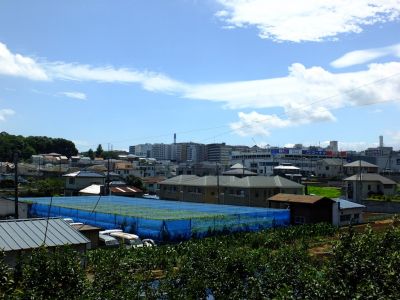 「城山の秋の月」
