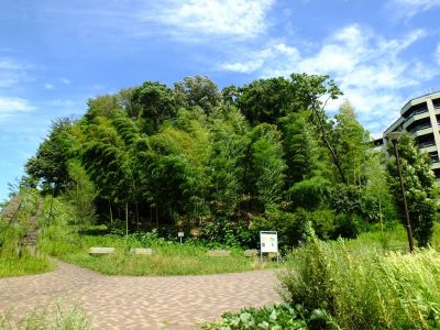 吾妻山公園
