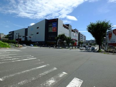 区役所通り　綱島街道交差点
