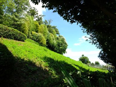 中川八幡山公園
